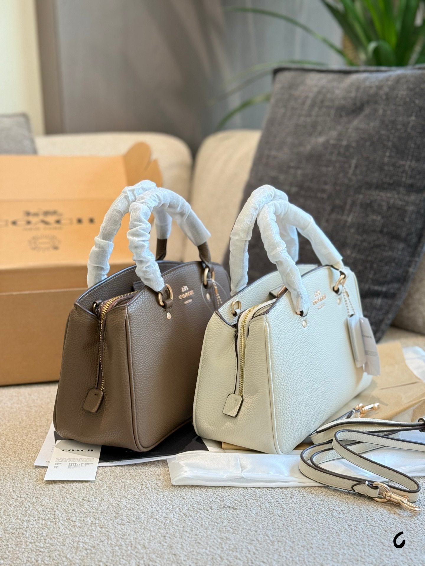 Princess Diana - Image 5