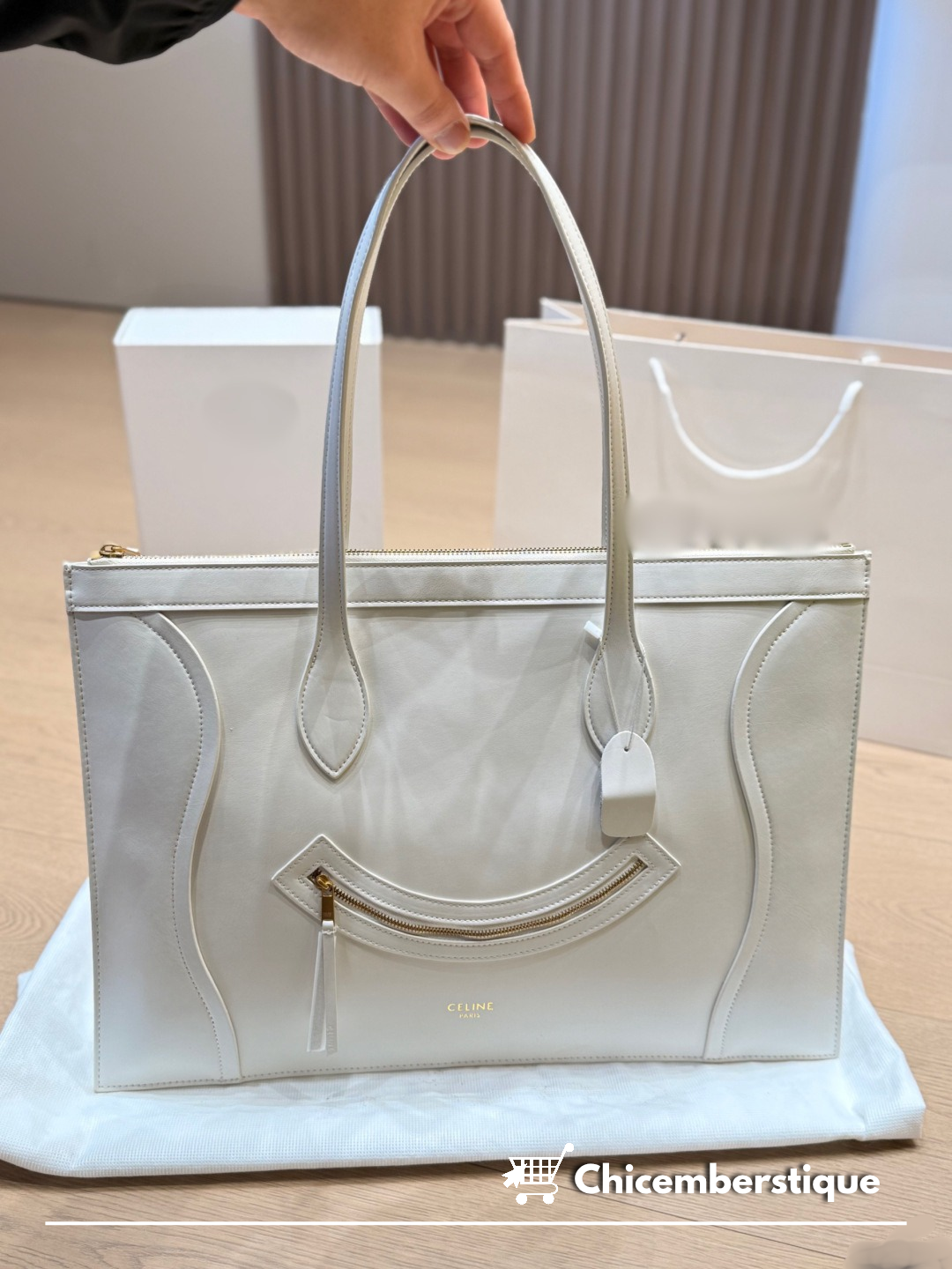 Celine Flat Luggage